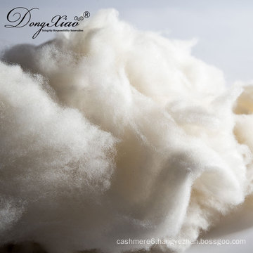 large supplier from China inner mongolia of dehaired cashmere fiberr